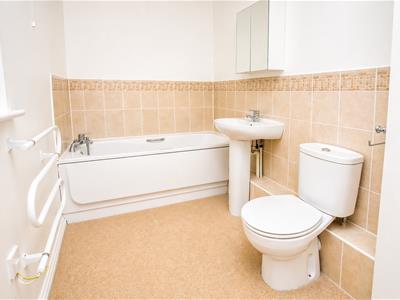 Picture 7